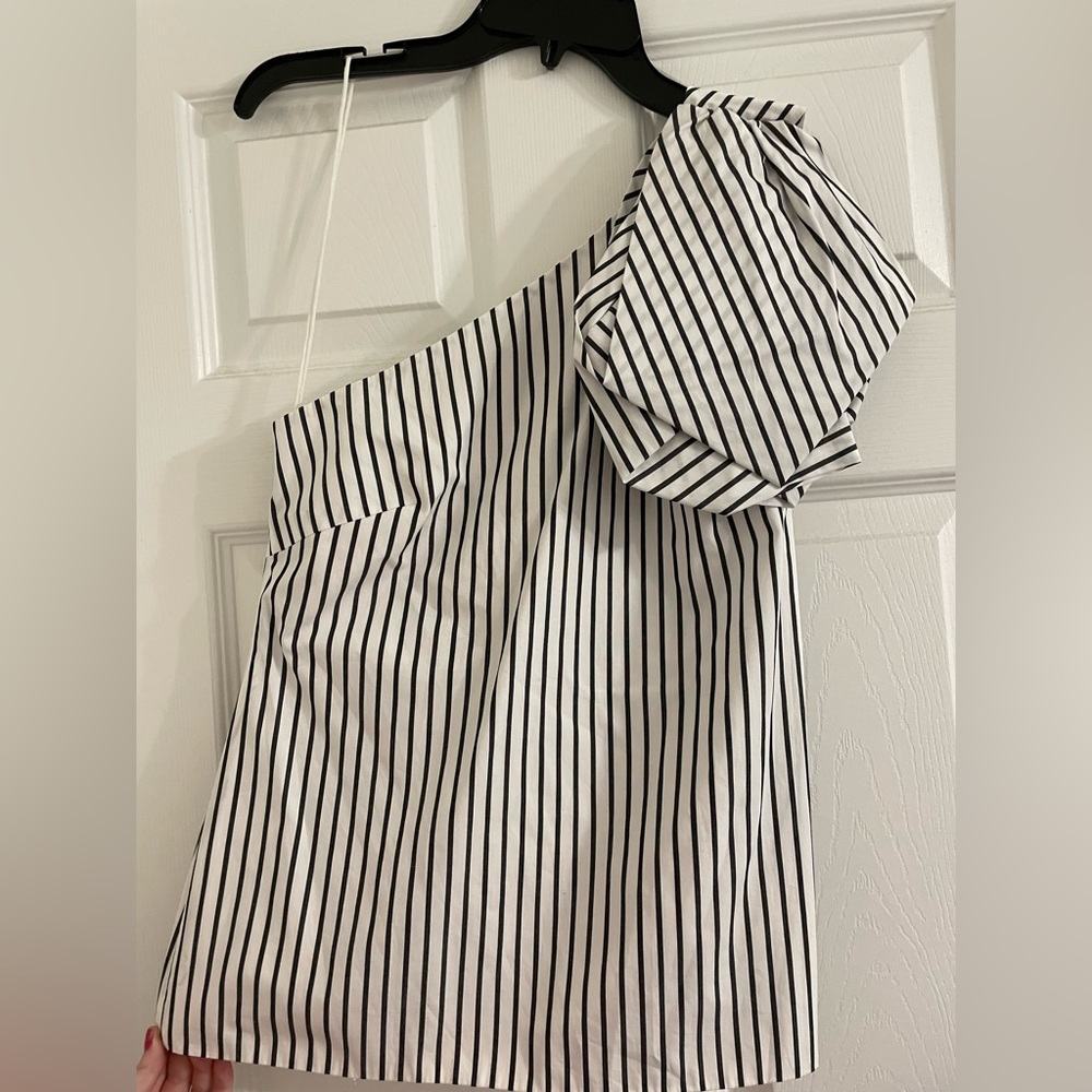 scripted m blouse nwt